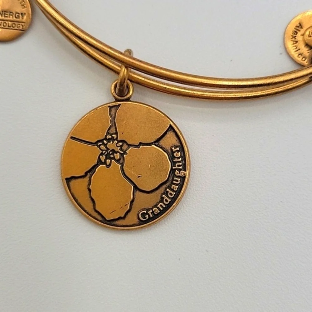 ALEX & ANI Rafaelian Gold Bangle Bracelet Grandmother Charm - Picture 2 of 3